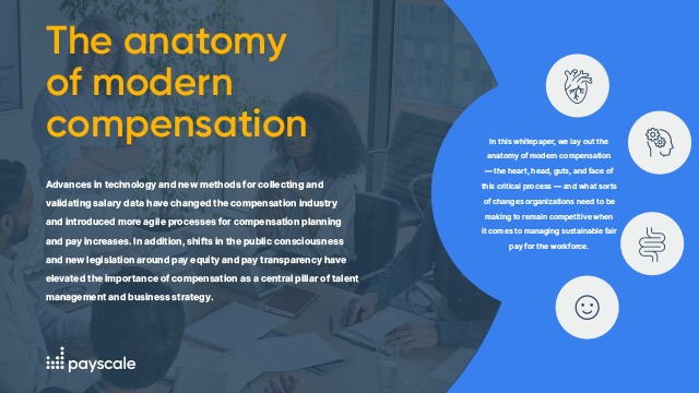 The Anatomy of Modern Compensation